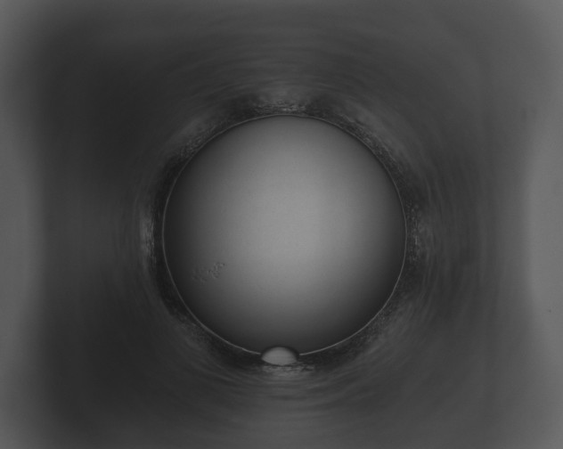 X0000103150693200808291430