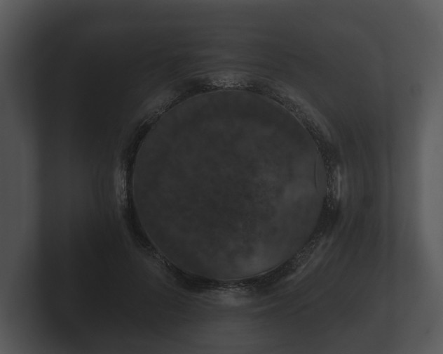 X0000103150696200808291430