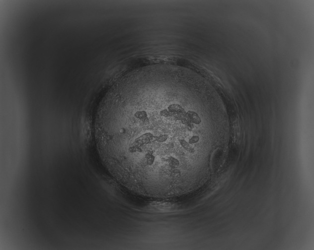 X0000103150699200808291430