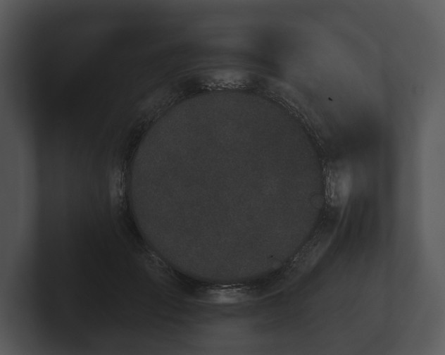 X0000103150701200808291430