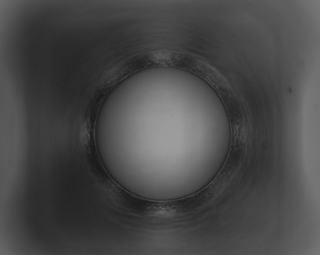 X0000103150702200808291430