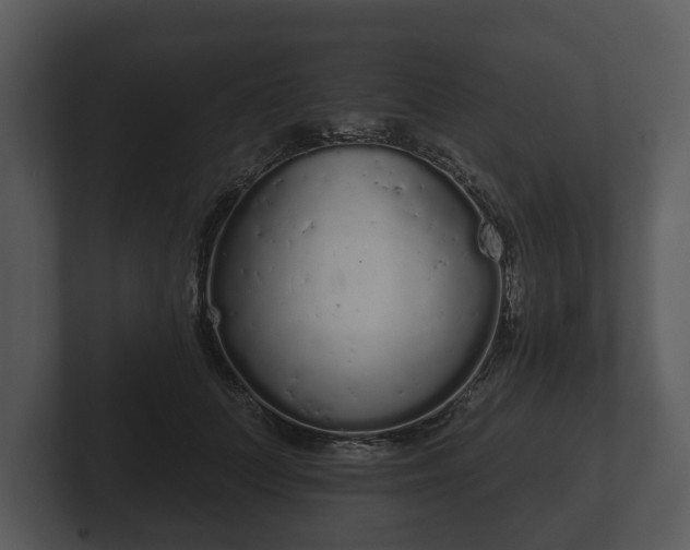 X0000103150703200808291430