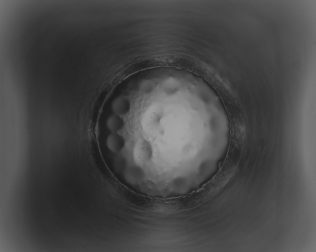 X0000103150707200808291430