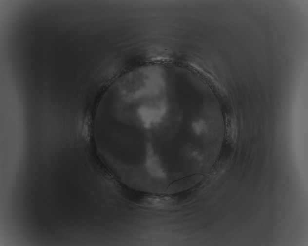 X0000103150712200808291430