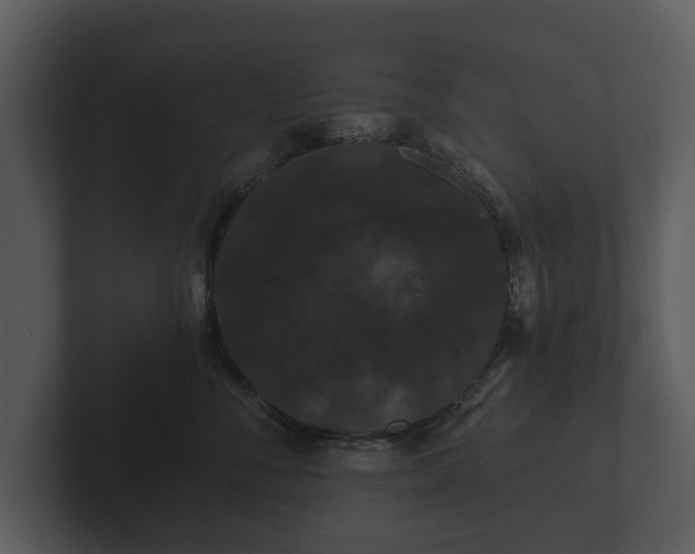 X0000103150716200808291430