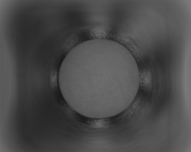 X0000103150717200808291430