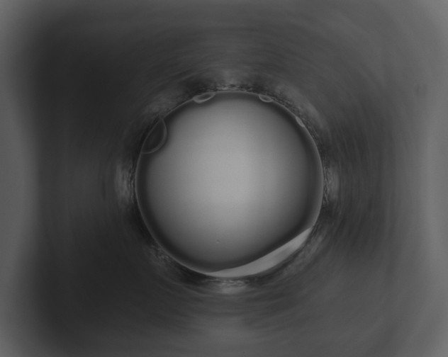 X0000103150719200808291430