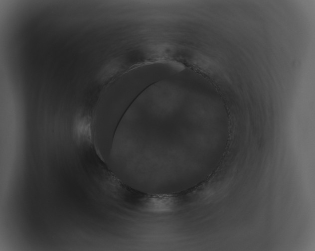 X0000103150720200808291430