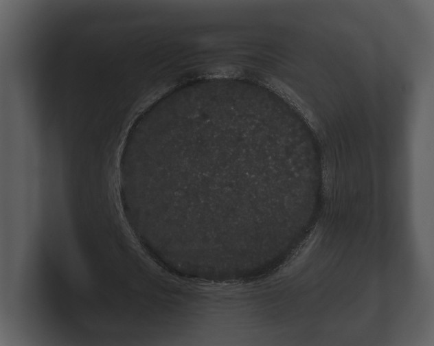 X0000103150721200808291429