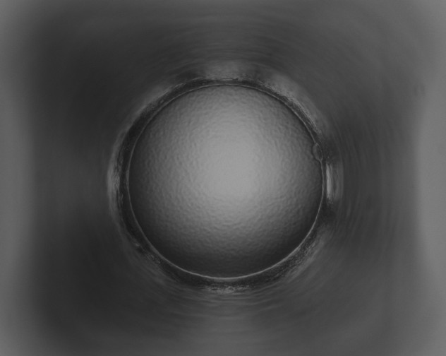 X0000103150723200808291429