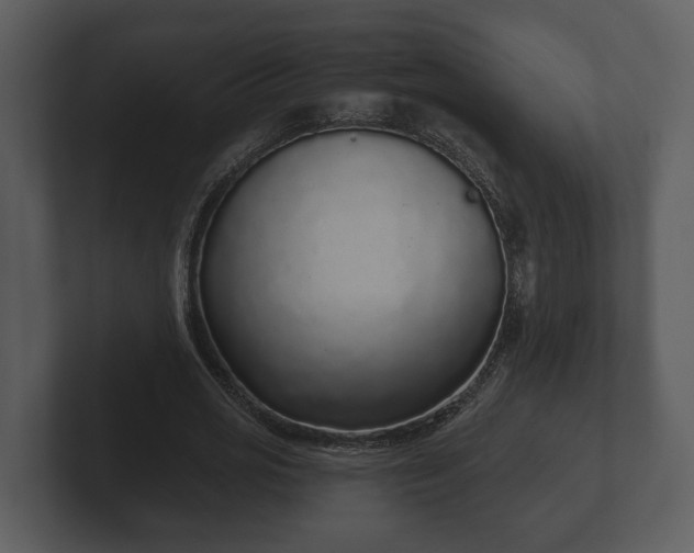 X0000103150725200808291429