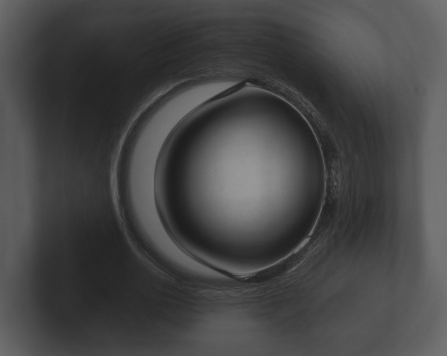 X0000103150726200808291429