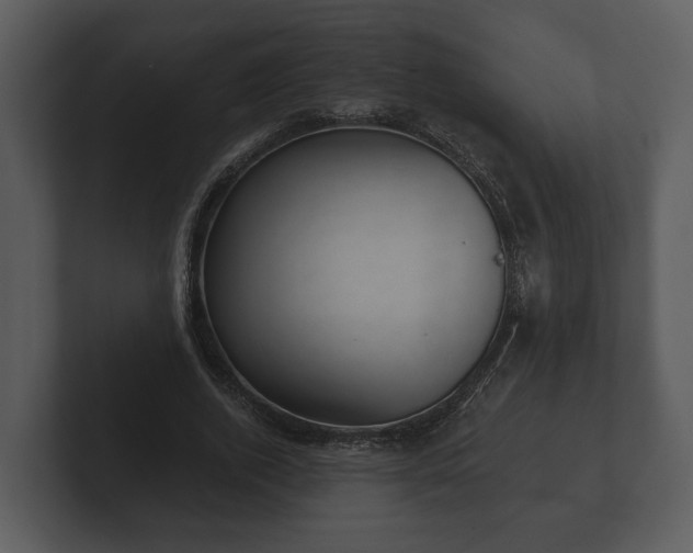 X0000103150728200808291429