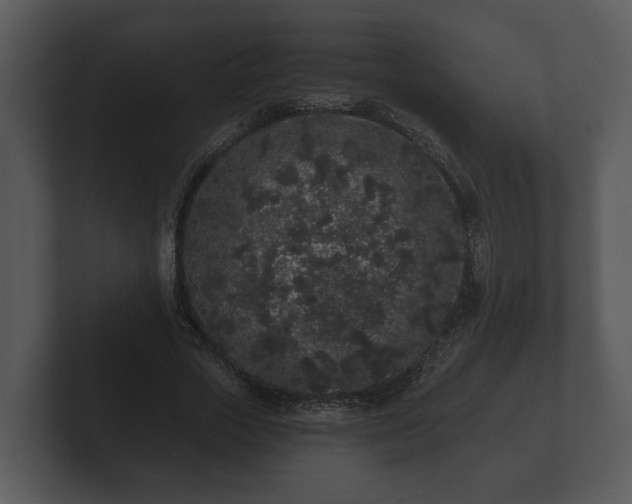 X0000103150729200808291429