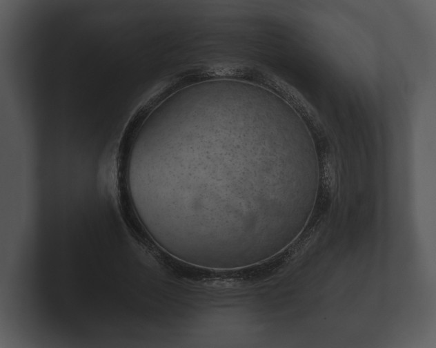 X0000103150730200808291429