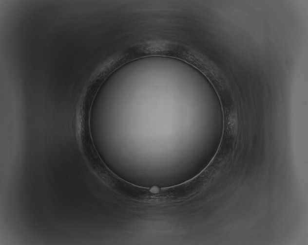 X0000103150732200808291429