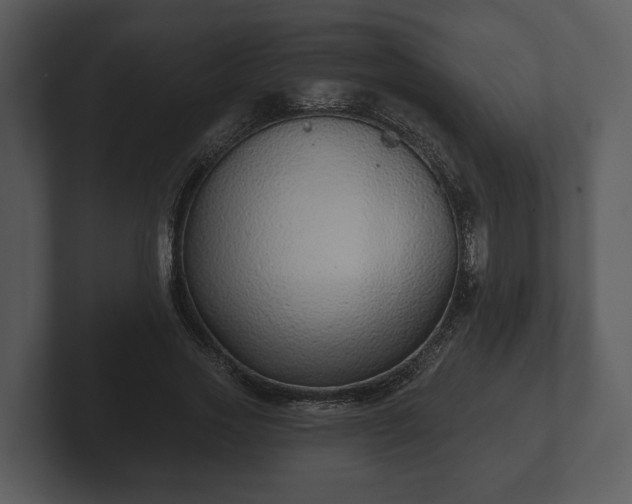 X0000103150733200808291429