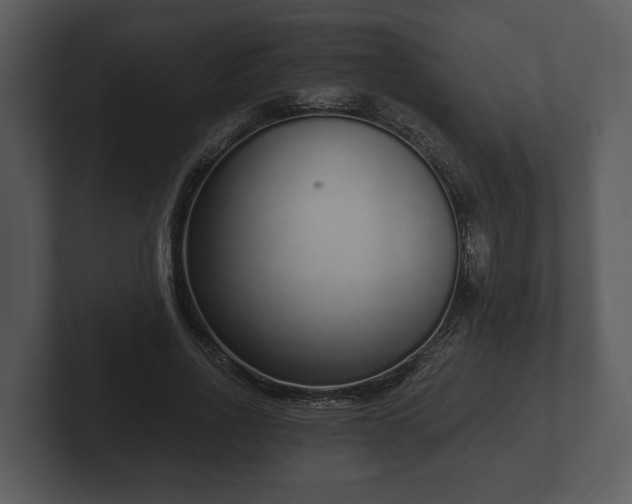 X0000103150734200808291429