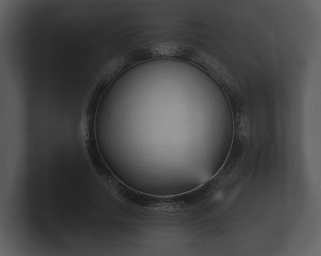 X0000103150738200808291429