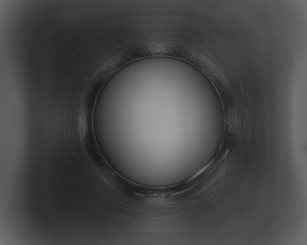 X0000103150740200808291429