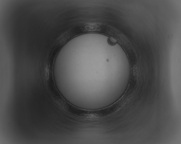 X0000103150741200808291429