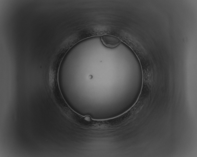 X0000103150742200808291429