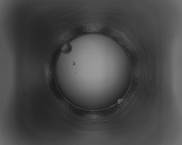 X0000103150743200808291429