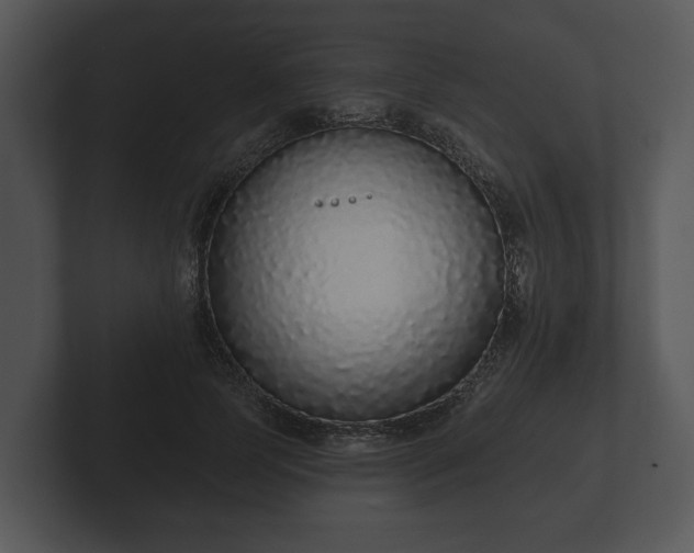 X0000103150745200808291429