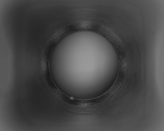 X0000103150746200808291429