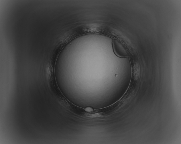 X0000103150747200808291429