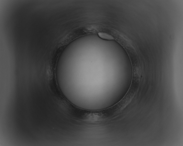 X0000103150751200808291429