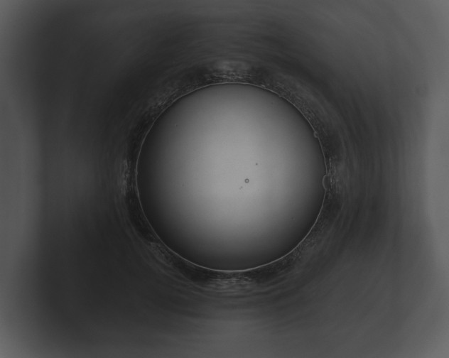 X0000103150752200808291429