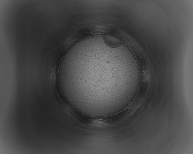 X0000103150753200808291430