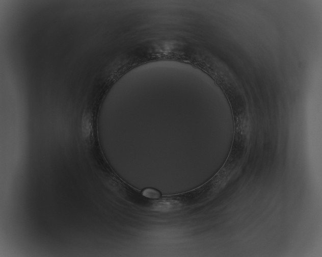 X0000103150754200808291430