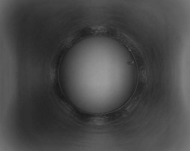 X0000103150756200808291430