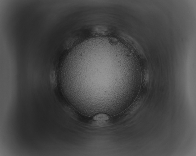 X0000103150759200808291430