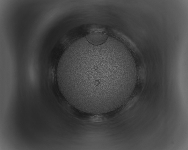 X0000103150761200808291430