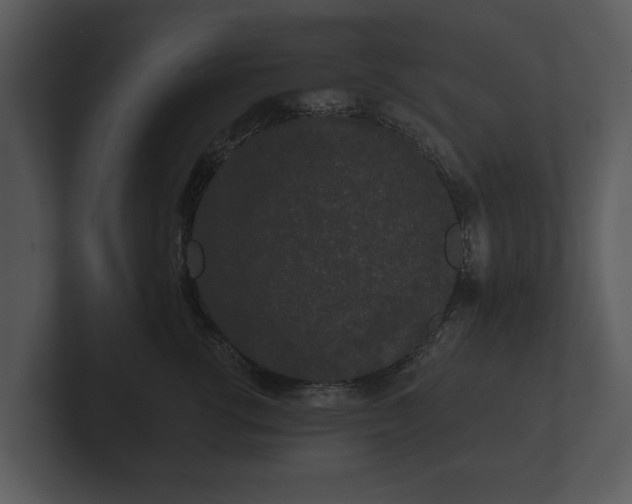 X0000103150762200808291430