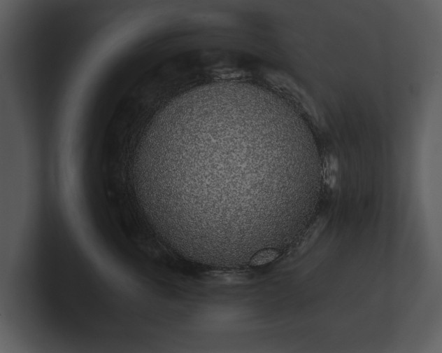 X0000103150763200808291430