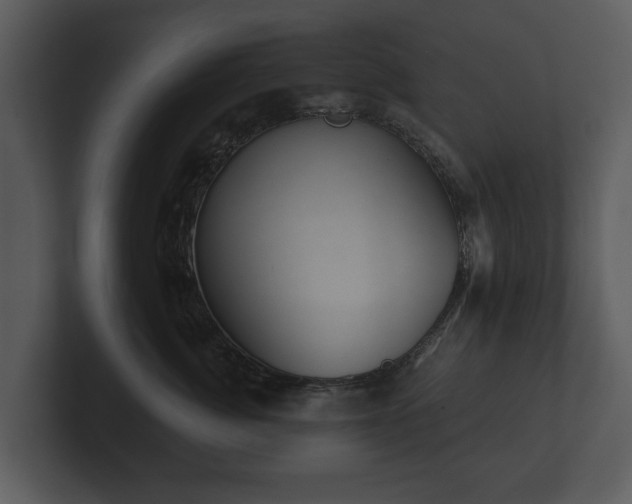 X0000103150764200808291430