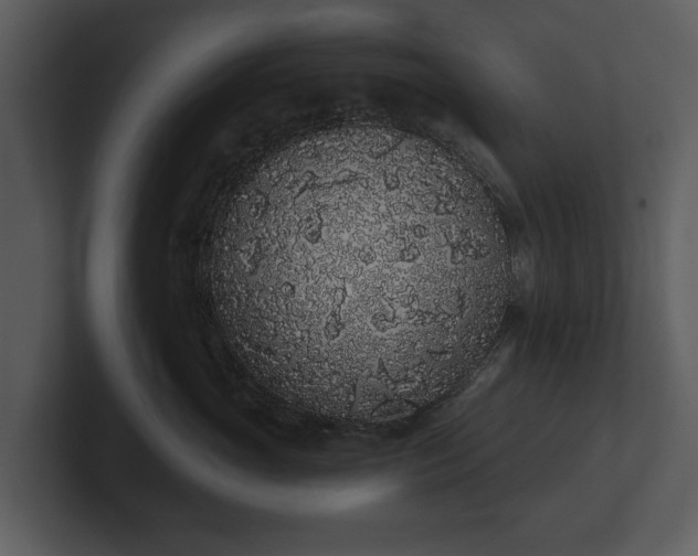 X0000103150765200808291430