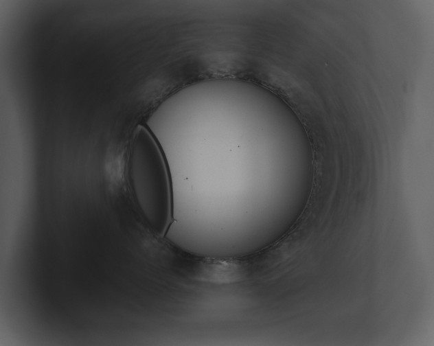 X0000103150768200808291430