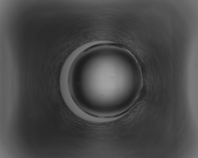 X0000103150769200808291429