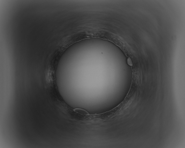 X0000103150770200808291429