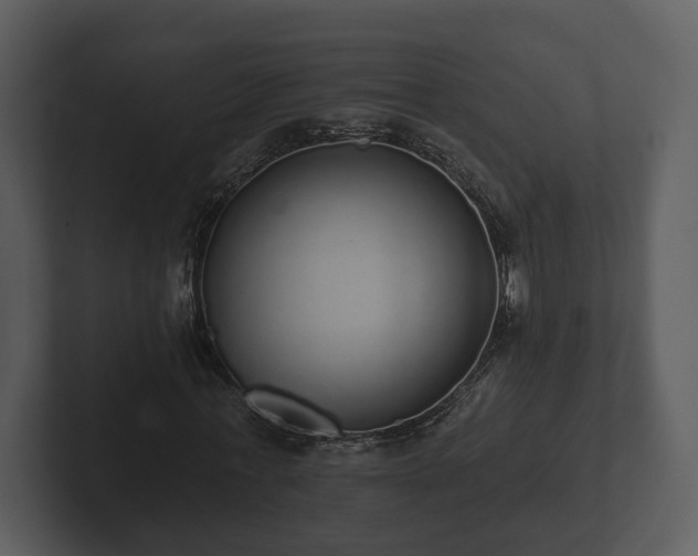 X0000103150771200808291429