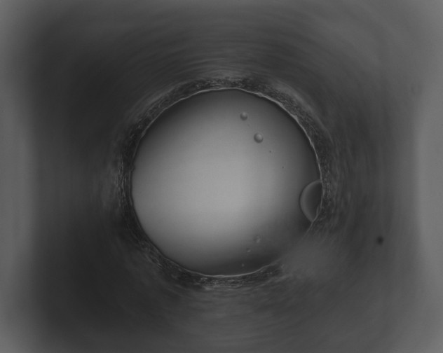 X0000103150773200808291429