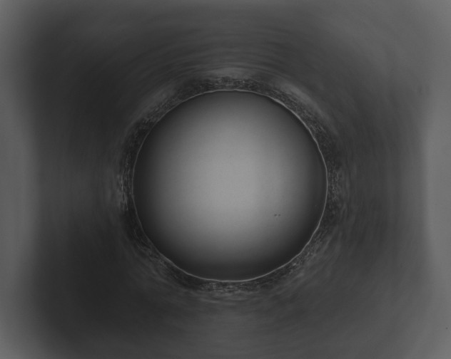 X0000103150774200808291429