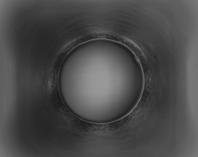 X0000103150775200808291429