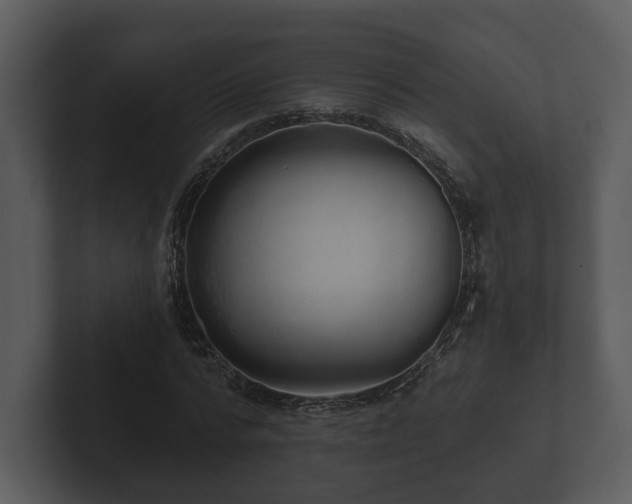 X0000103150776200808291429