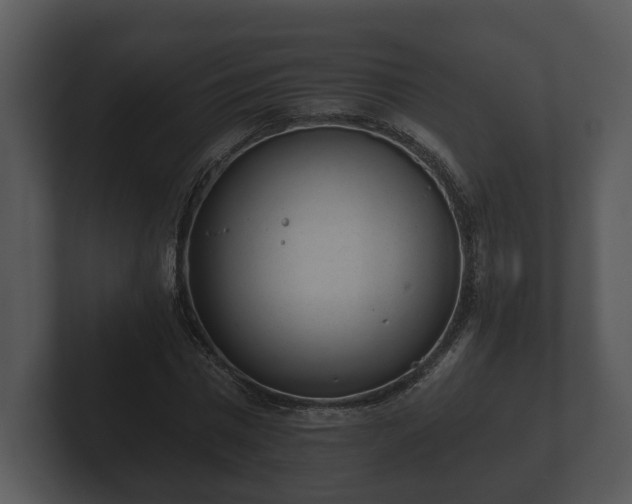 X0000103150777200808291429